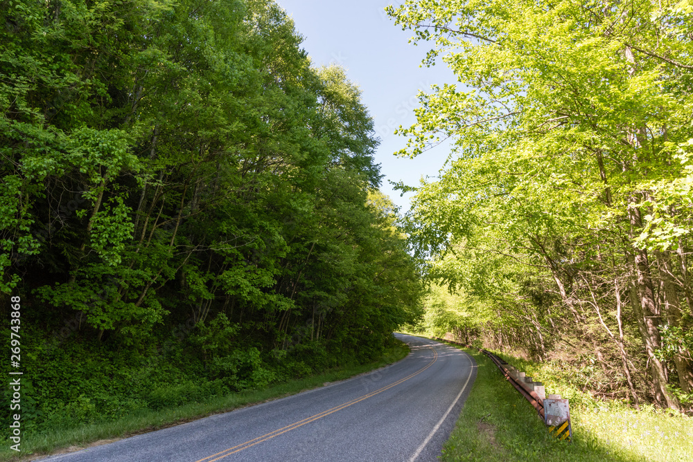 Beautiful Blue Ridge Parkway forest vista in springtime, western North Carolina Beautiful Blue Ridge Parkway forest vista in springtime, western North Carolina