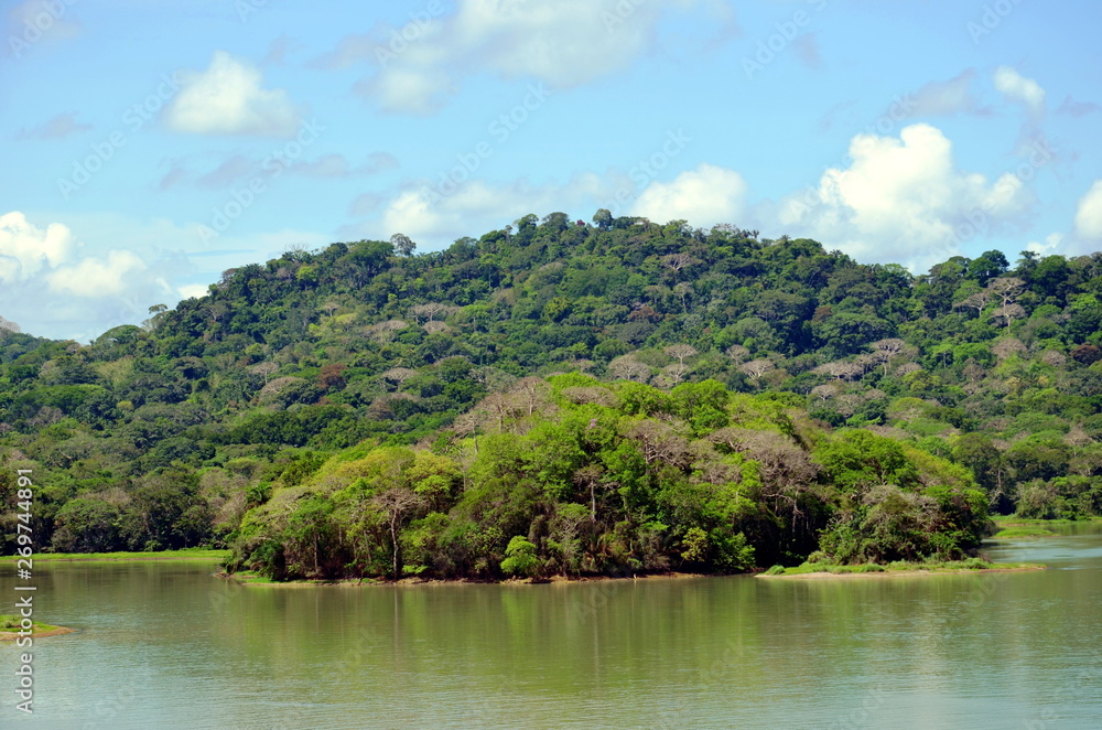 Green landscape of the Panama Canal, view from transiting container ship.