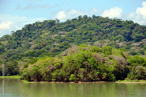 Green landscape of the Panama Canal  view from transiting container ship.