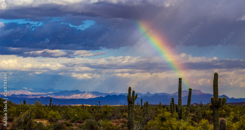 Landscape Image Of Desert Rainbow With Cactus Landscape Image Of Desert Rainbow With Cactus