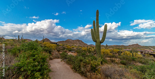 Desert Hiking Trail In Scottsdale Arizona With Cactus