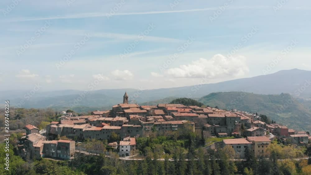 Aerial view on the old town surrounded by forest. A lot of buildings made of orange bricks Aerial view on the old town surrounded by forest. A lot of buildings made of orange bricks