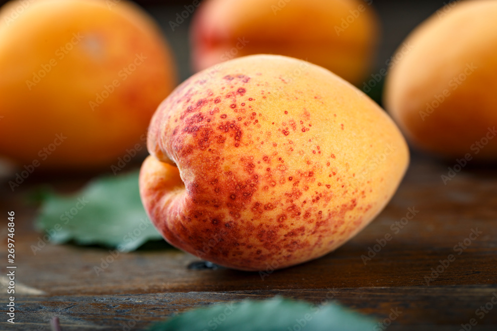 Ripe apricots and apricot leaves