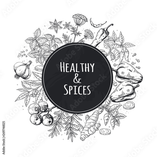 Hand drawn spices background. Asian and Indian food herbs and spices, gourmet menu sketch elements. Cooking vector poster kitchen vegetable ingredients
