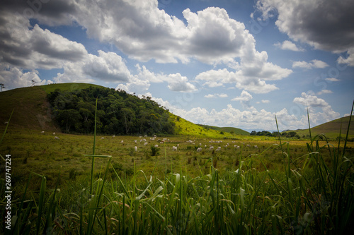 Landscape travel