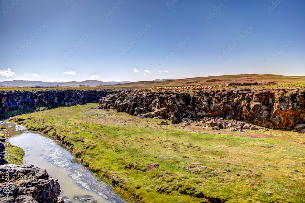 Fototapeta premium Flock of sheep in the mid atlas mountains in Morocco