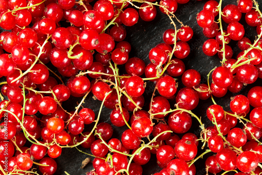 red currant as background red currant as background