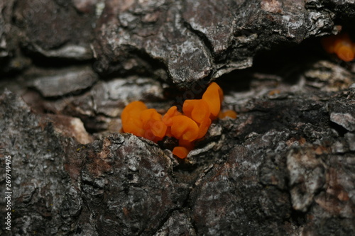 Assorted Macros