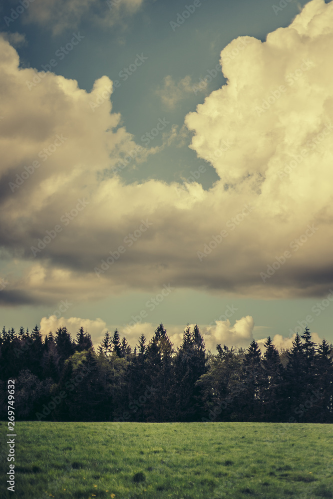 Fototapeta premium Himmel und Wiese