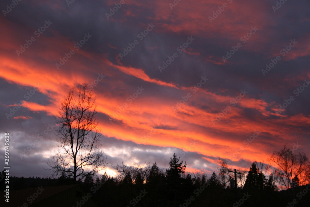 Fototapeta premium Fall and Winter Scenes in Oregon and California