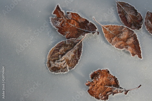 Fall and Winter Scenes in Oregon and California