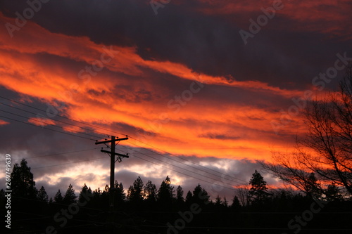 Fall and Winter Scenes in Oregon and California