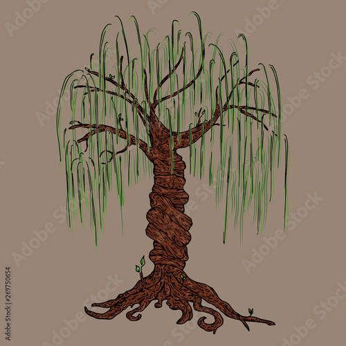 Tree icon. Vector illustration big tree willow. Hand drawn weeping willow tree.