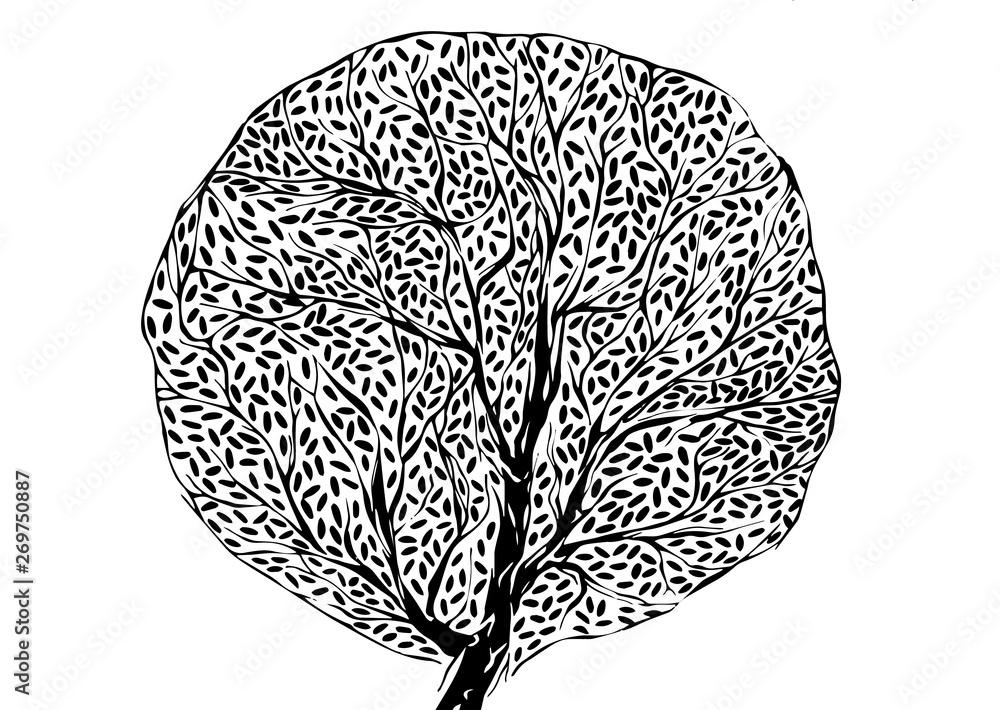 Tree silhouette with leaves, black and white graphic, hand drawn vector illustration.