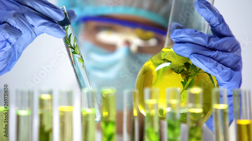 Researcher comparing plants in test tube and flask, genetic breeding experiment
