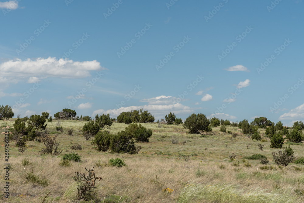 Beautiful New Mexico wilderness vista in springtime