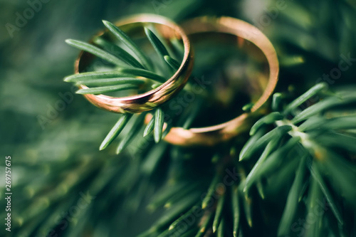 wedding rings. jewelery in white and yellow gold. wedding ring on green background.