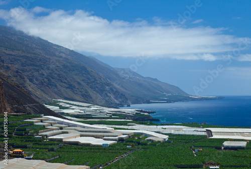 Cultivos plataneras. Mirador del Puerto Naos. Isla La Palma. Provincia Santa Cruz. Islas Canarias. España photo