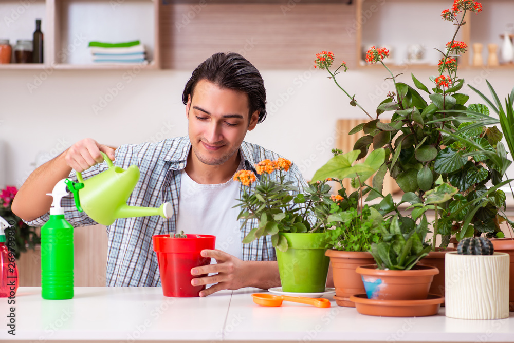 Young handsome man cultivating flowers at home Young handsome man cultivating flowers at home