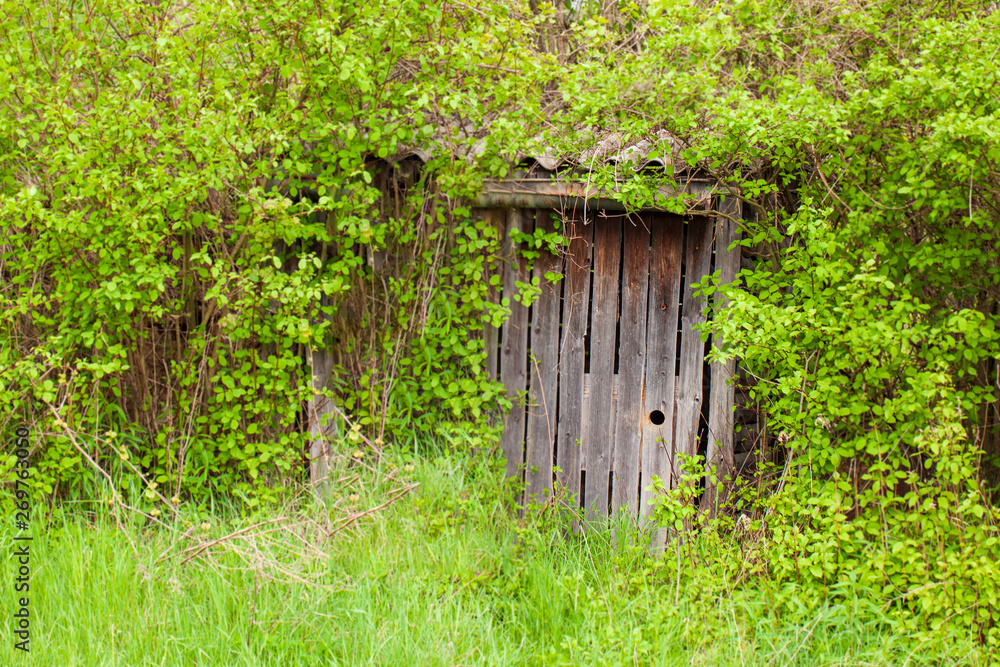 Nistkasten für einen Wiedehopf geschützt in einem Holzschuppen Nistkasten für einen Wiedehopf geschützt in einem Holzschuppen