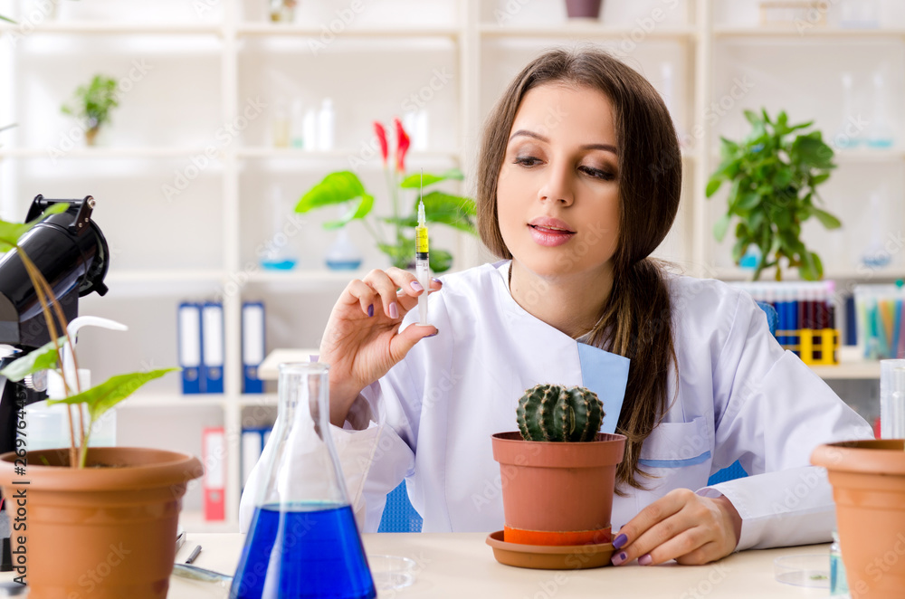 Young beautiful biotechnology chemist working in the lab Young beautiful biotechnology chemist working in the lab