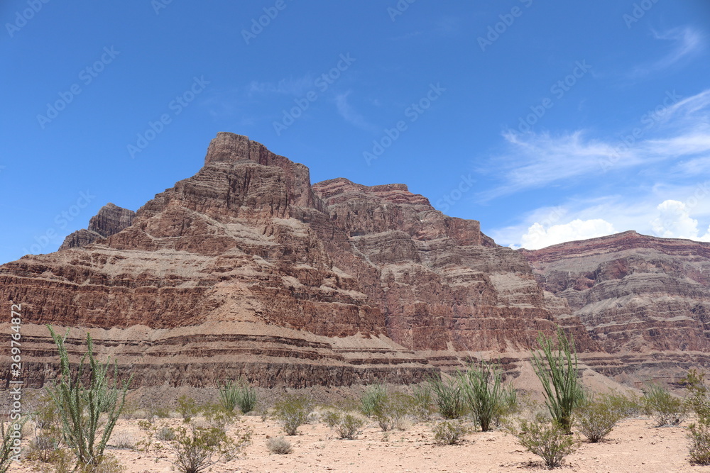 Grand Canyon, Arizona mountain peak and desert plants