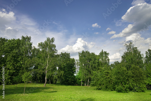 Fototapeta Naklejka Na Ścianę i Meble -  Mitino landscape  park.