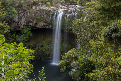 Rainbow Falls  or Waianiwaniwa  on the Kerikeri River flowing over a basalt ledge in a forest. Northland  New Zealand.