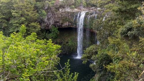 Rainbow Falls  or Waianiwaniwa  on the Kerikeri River flowing over a basalt ledge in a forest. Northland  New Zealand.