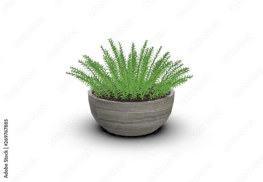 flower plant in Pot 3D Rendering flower plant in Pot 3D Rendering