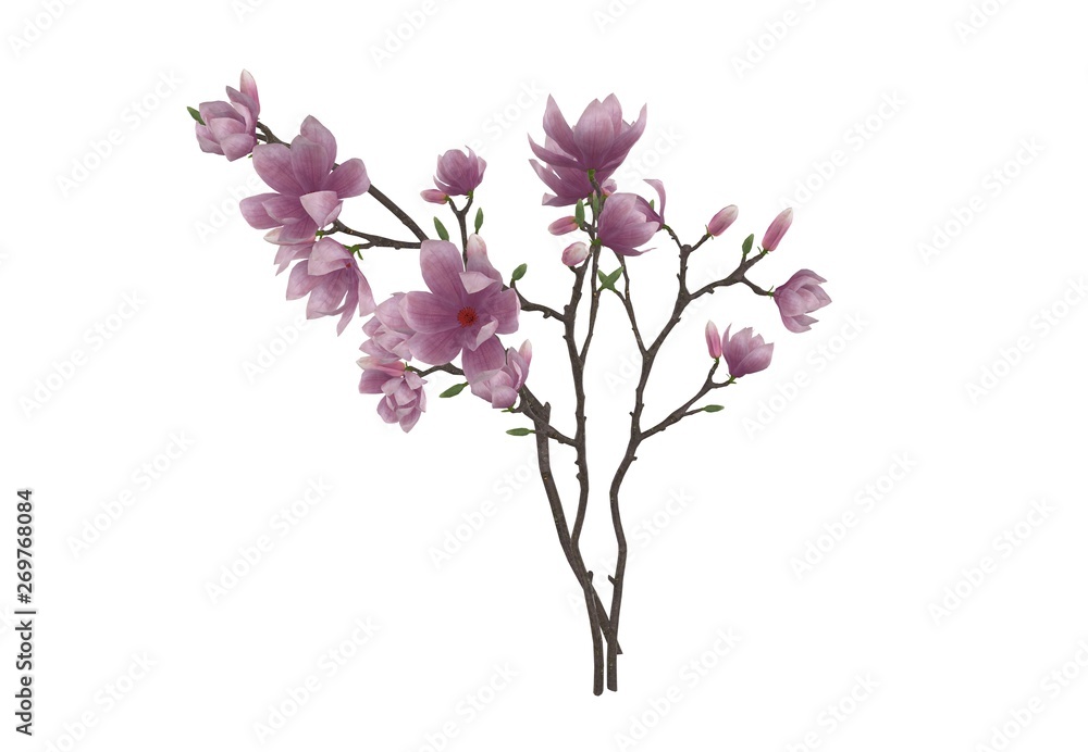 Flower Plant isolated 3D Rendering