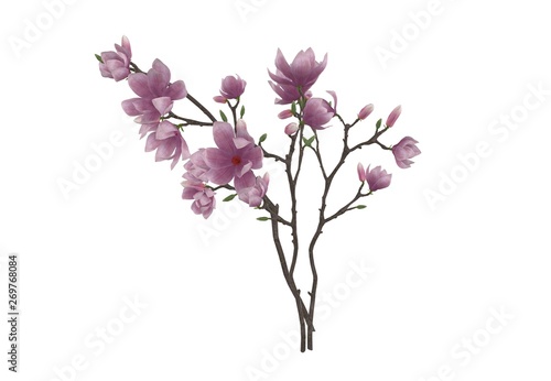 Flower Plant isolated 3D Rendering
