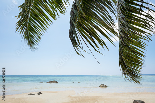 Fototapeta Naklejka Na Ścianę i Meble -  Palm Leaves Near The Idyllic Beach