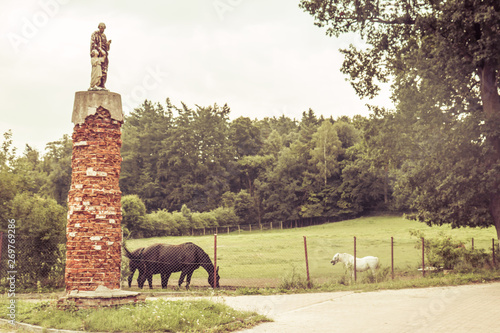 Fototapeta Naklejka Na Ścianę i Meble -  horses on a field