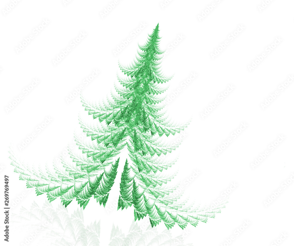 Fototapeta premium fir tree