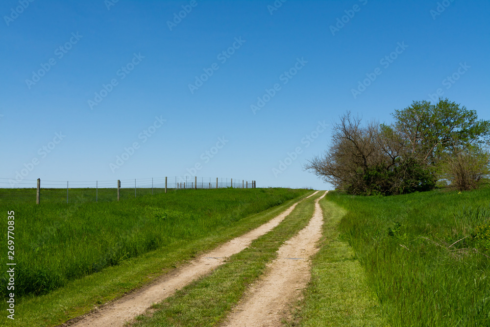 Road through the tallgrass prairie