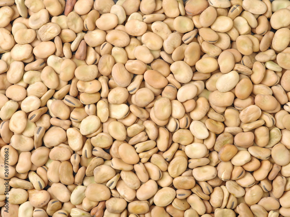 Pile of broad beans, background Pile of broad beans, background
