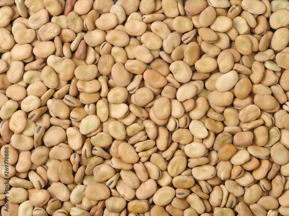 Pile of broad beans, background