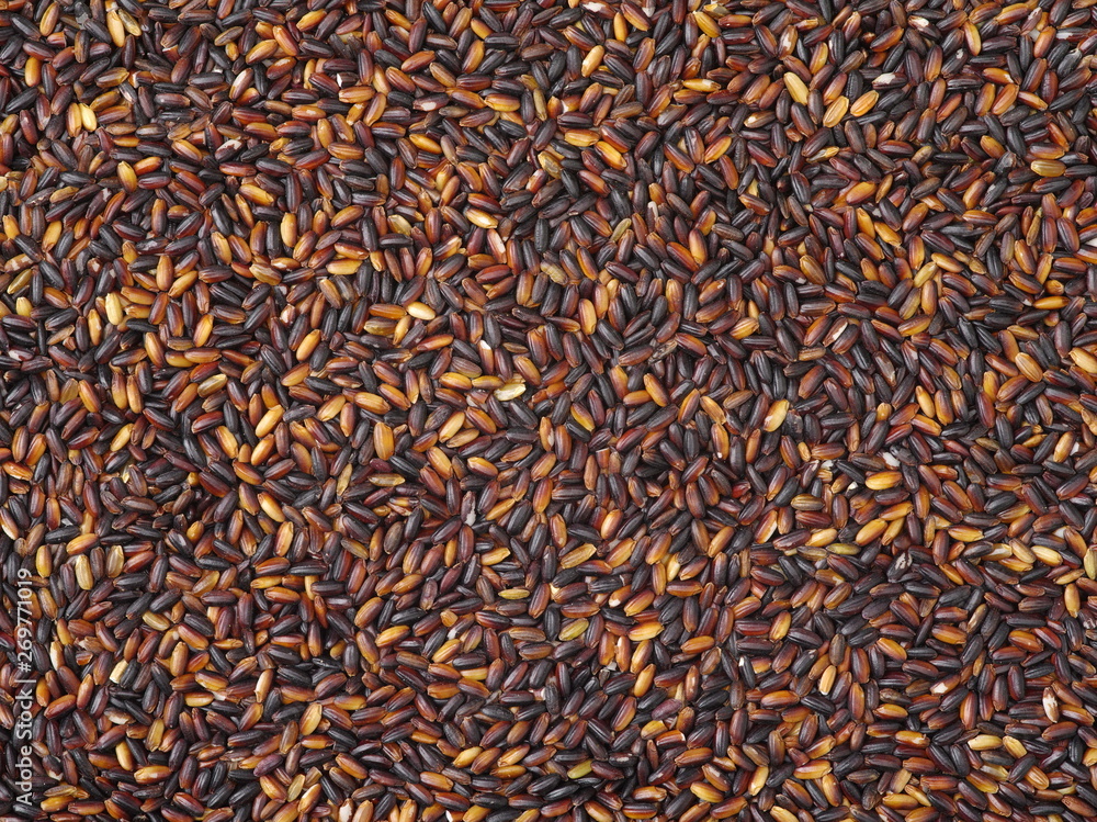 Black glutinous rice (black sticky rice,black rice) background Black glutinous rice (black sticky rice,black rice) background