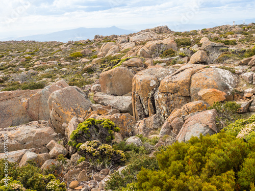 A Plateau on Mount Wellington