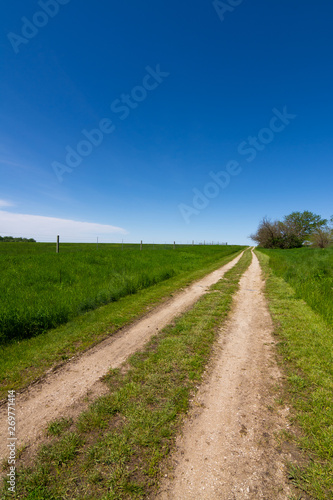 Road through the tallgrass prairie