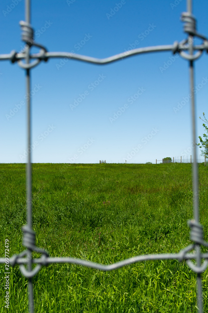Metal fence Metal fence