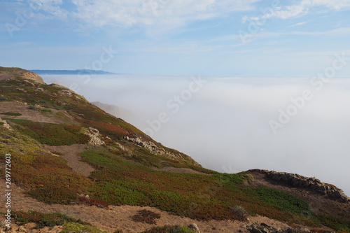 The rugged shore and cliffs of Point Reyes National Seshore in northern California amidst fog and clouds.