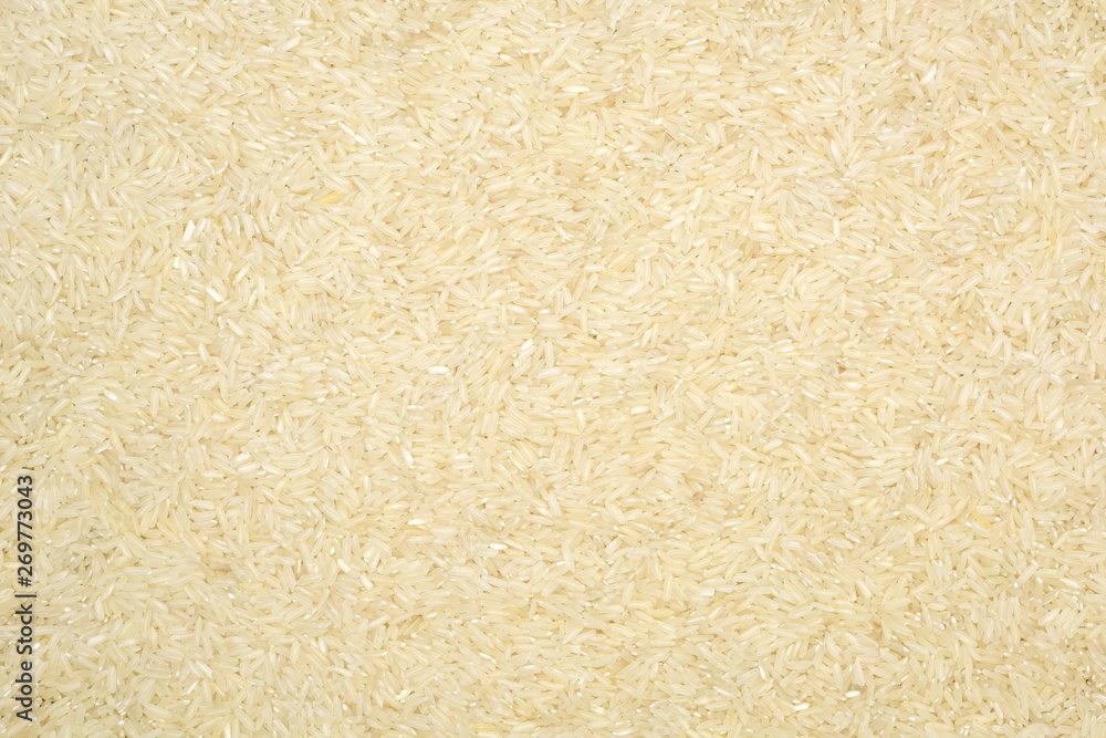 close up shot of the rice background close up shot of the rice background