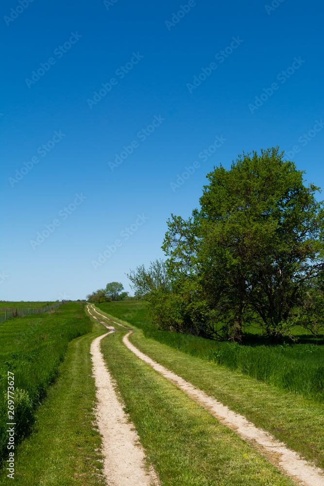 Road through the tallgrass prairie