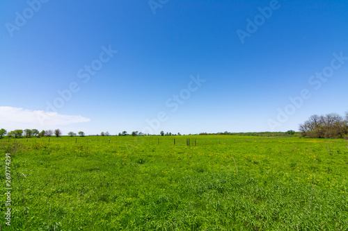 Open grass field