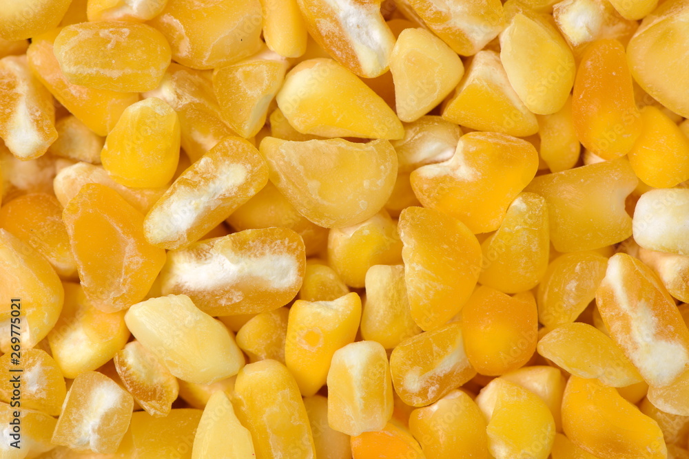 raw crushed corn groats close up raw crushed corn groats close up