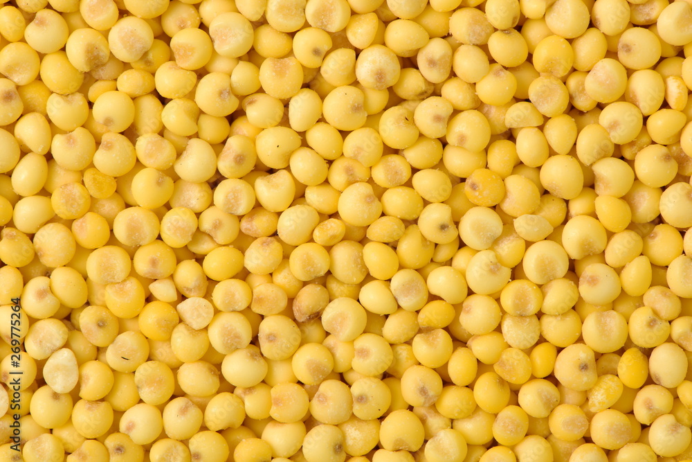 Millet background Millet background