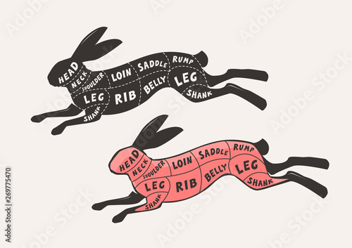 Cut of meat, rabbit or hare. Poster butcher diagram and scheme, vector illustration