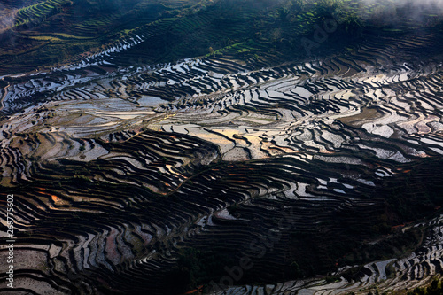 Honghe Yuanyang, Samaba Rice Terrace Fields - Baohua township, Yunnan Province China. Sama Dam Multi-Color Terraces - grass, mud construction layered terraces filled with water, blue sky reflection